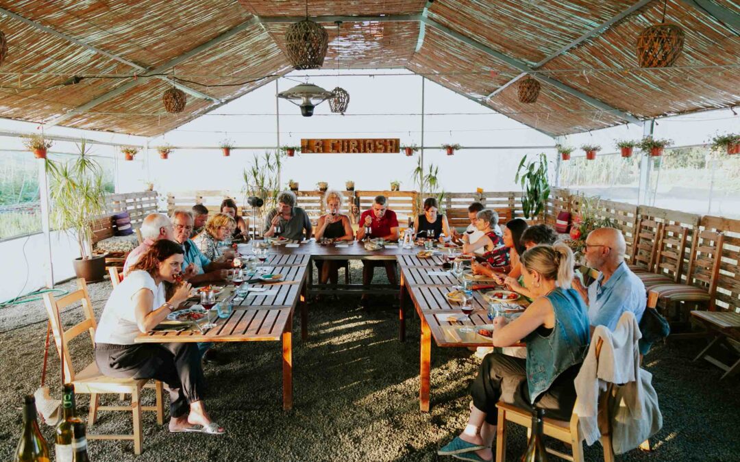 Maridatges del Collita del 91 i David Maltas